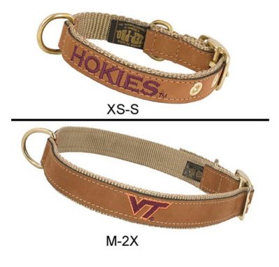 a leather dog collar