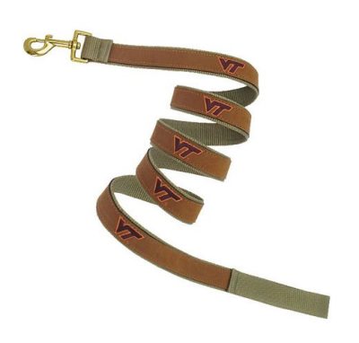a leather dog leash